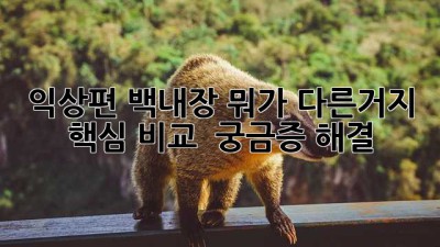 👁️ 익상편? 백내장? 뭐가 다른거지? 👀 핵심 비교 & 궁금증 해결!