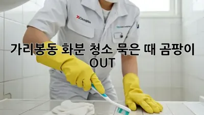 ✨가리봉동 화분 청소✨ 묵은 때, 곰팡이 OUT! 🌱